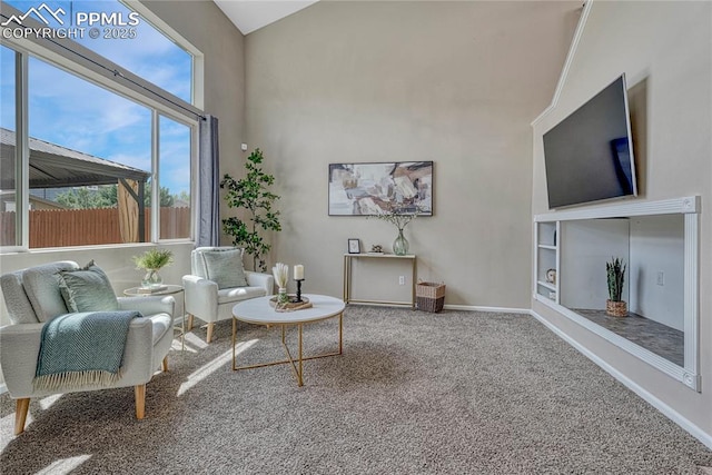 living area with baseboards, carpet, and a towering ceiling