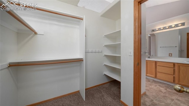 walk in closet with a sink
