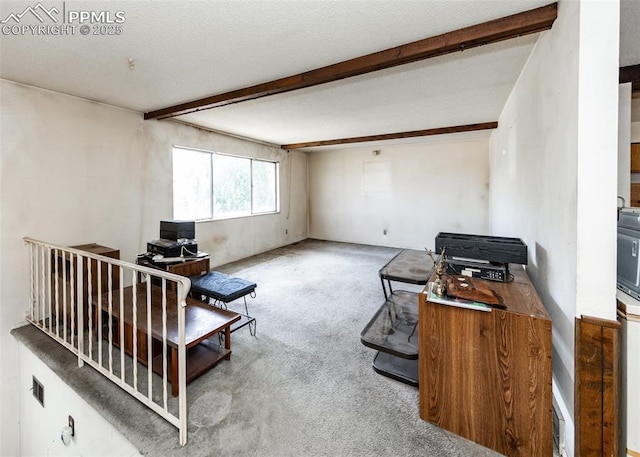 carpeted living area featuring beam ceiling