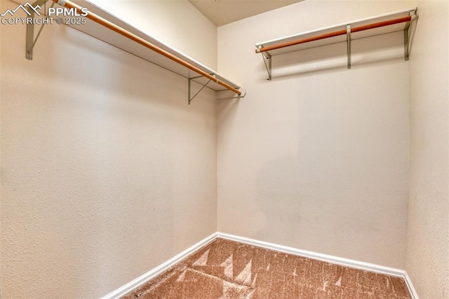spacious closet with carpet flooring