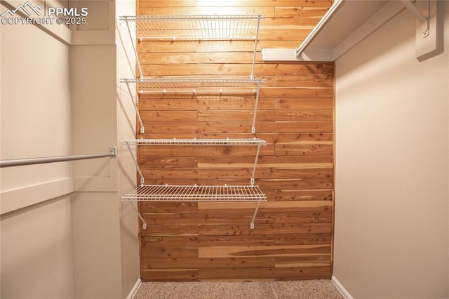 walk in closet with carpet flooring