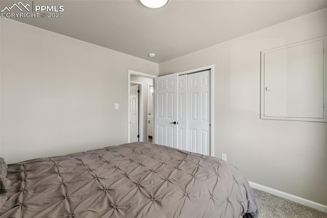 unfurnished bedroom with carpet flooring, a closet, and baseboards