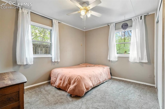 bedroom featuring multiple windows, baseboards, and carpet floors