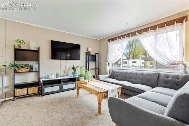 carpeted living room featuring crown molding