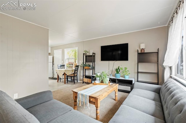 living area with crown molding