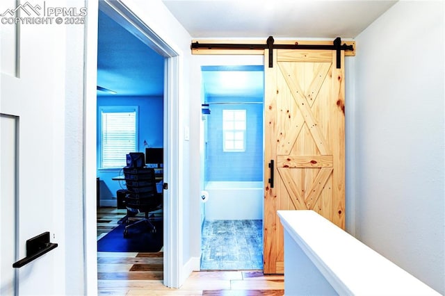 hall featuring a barn door, a wealth of natural light, and wood finished floors