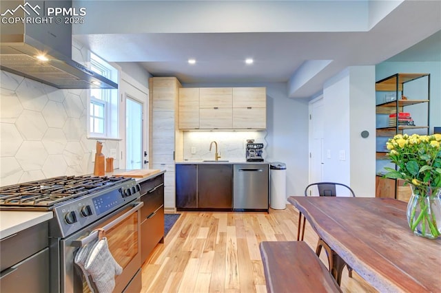 kitchen featuring ventilation hood, light wood finished floors, stainless steel appliances, light countertops, and a sink