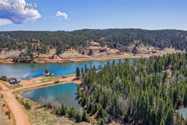 aerial view featuring a view of trees and a water view
