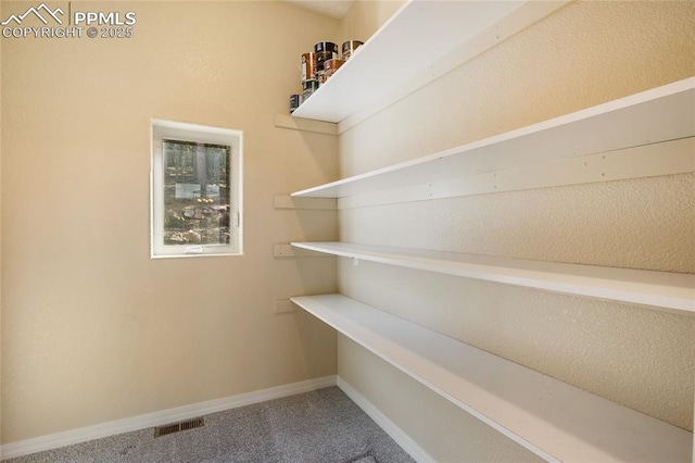 storage area featuring visible vents