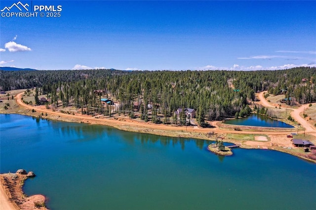 bird's eye view featuring a view of trees and a water view