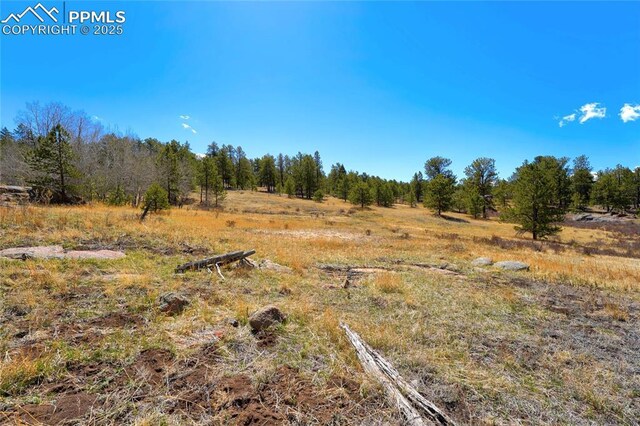 209 Icarus Dr, Florissant, CO 80816
