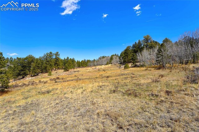 209 Icarus Dr, Florissant, CO 80816