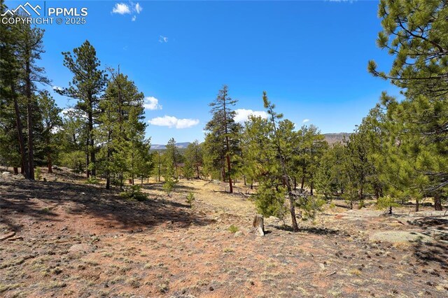 209 Icarus Dr, Florissant, CO 80816