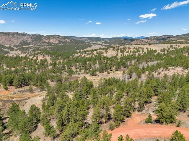 209 Icarus Dr, Florissant, CO 80816