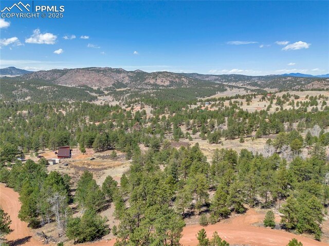 209 Icarus Dr, Florissant, CO 80816