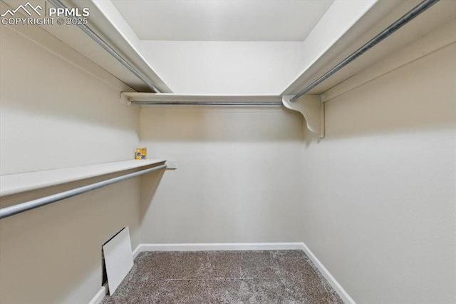 spacious closet featuring carpet floors