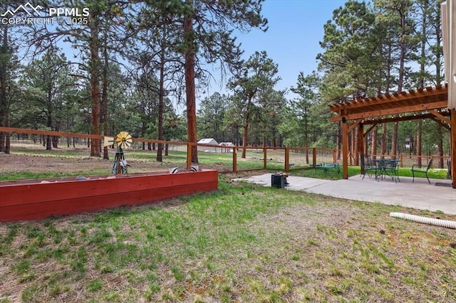 view of yard featuring a fenced backyard and a patio area