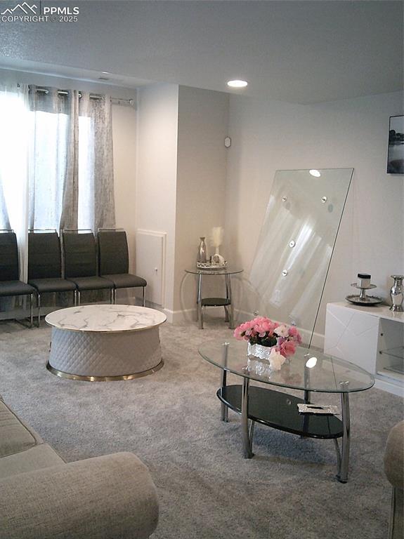 view of carpeted living area