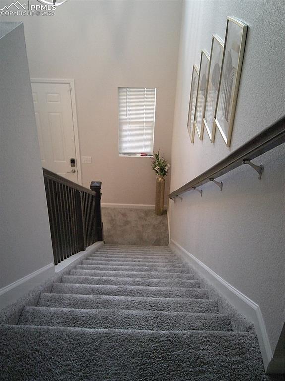 stairs with baseboards and carpet