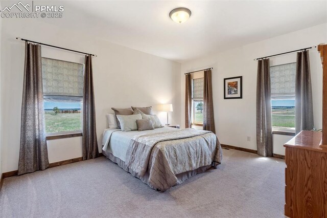 4908 Silver Nell Dr, Colorado Springs, CO 80908 - bedroom with baseboards and light colored carpet