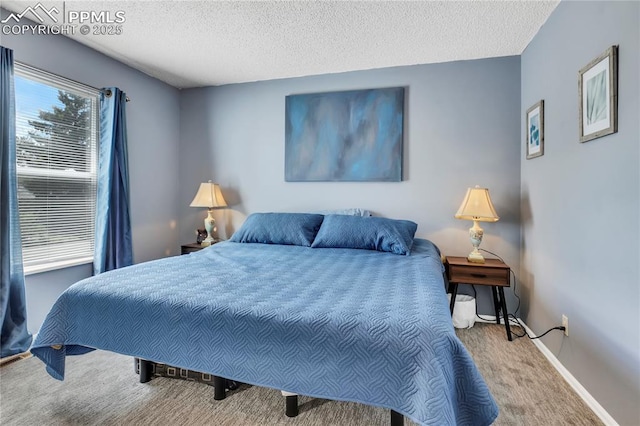 4230 Hollow Rd, Colorado Springs, CO 80917 - bedroom featuring carpet floors, baseboards, and a textured ceiling