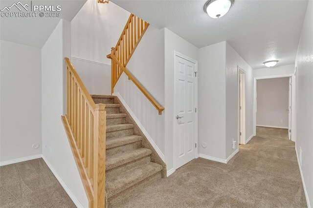 16850 Buffalo Valley Path, Monument, CO 81032 - stairway featuring baseboards and carpet