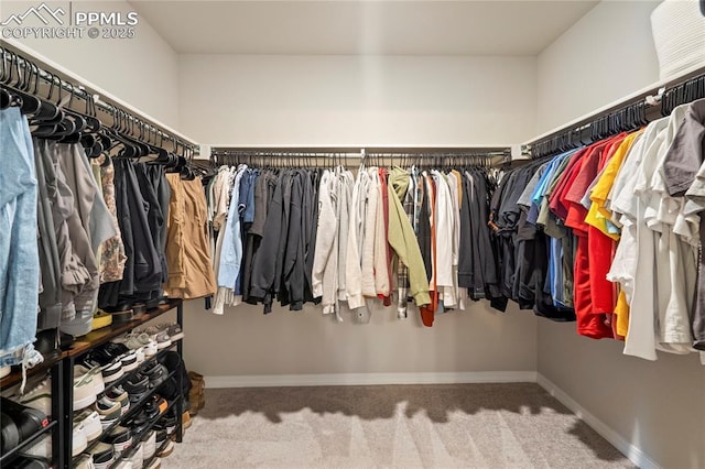 spacious closet with carpet flooring