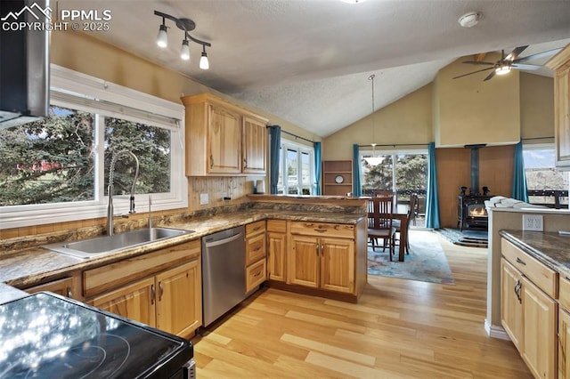 555 Elfin Glen Dr, Divide, CO 80814 - kitchen with dishwasher, a wood stove, a sink, ceiling fan, and light wood-style floors