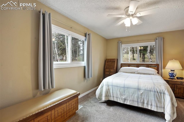 555 Elfin Glen Dr, Divide, CO 80814 - carpeted bedroom with multiple windows, a textured ceiling, baseboards, and a ceiling fan