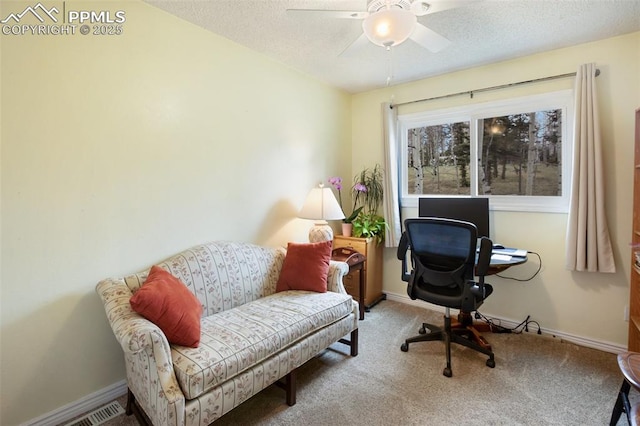 555 Elfin Glen Dr, Divide, CO 80814 - carpeted home office with ceiling fan, baseboards, and a textured ceiling