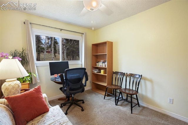 555 Elfin Glen Dr, Divide, CO 80814 - home office with carpet, ceiling fan, baseboards, and a textured ceiling