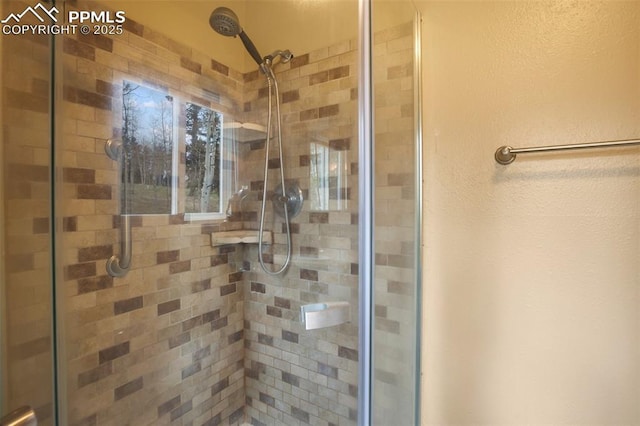 555 Elfin Glen Dr, Divide, CO 80814 - full bath with a shower stall and a textured wall