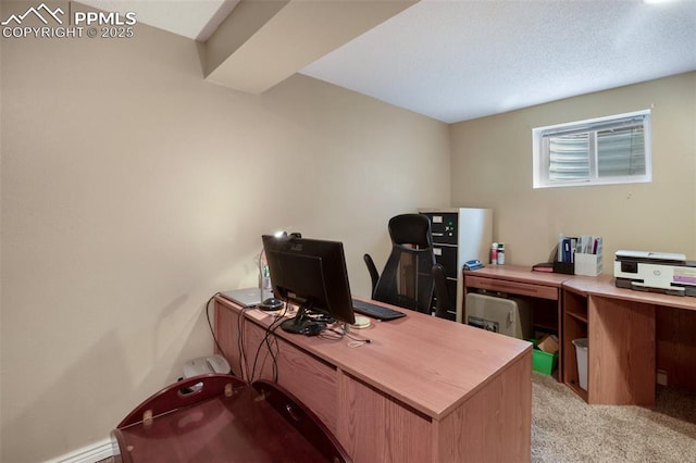 555 Elfin Glen Dr, Divide, CO 80814 - office featuring light carpet and a baseboard heating unit
