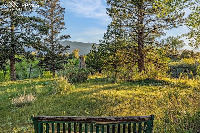 1455 La Mesa St, Colorado Springs, CO 80904 - view of yard with a mountain view