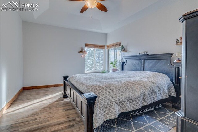 126 Star View Cir, Palmer Lake, CO 80133 - bedroom with baseboards, wood finished floors, a ceiling fan, and a tray ceiling