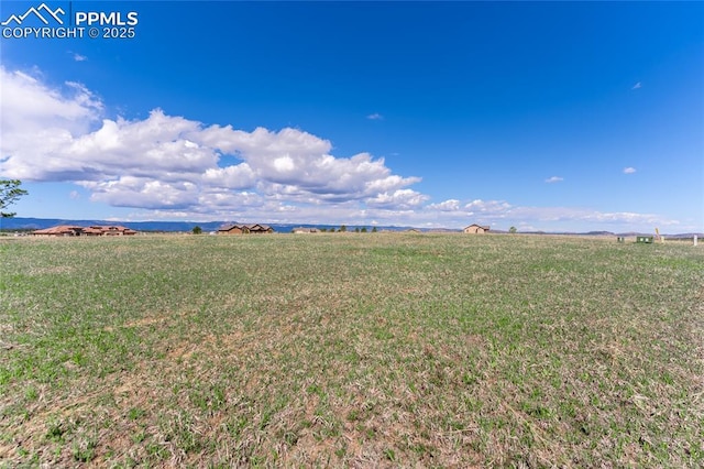 16924 Horizon Ridge Trl, Colorado Springs, CO 80908