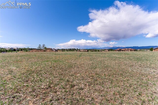 16954 Horizon Ridge Trl, Colorado Springs, CO 80908