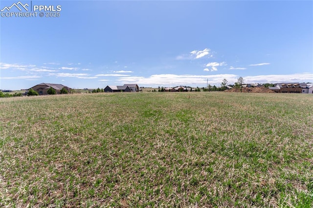 16954 Horizon Ridge Trl, Colorado Springs, CO 80908