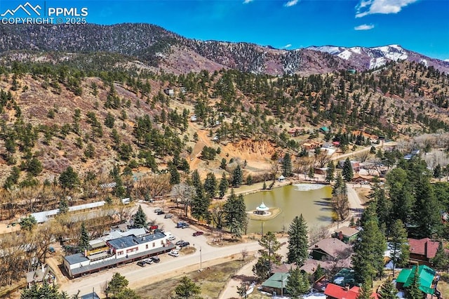 drone / aerial view with a mountain view