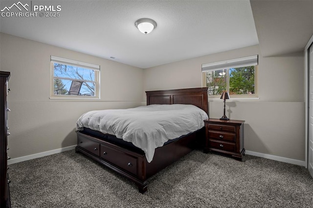 bedroom with carpet, baseboards, and multiple windows