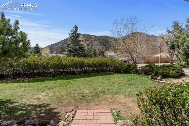 25 High St, Palmer Lake, CO 80133 - view of yard with a mountain view
