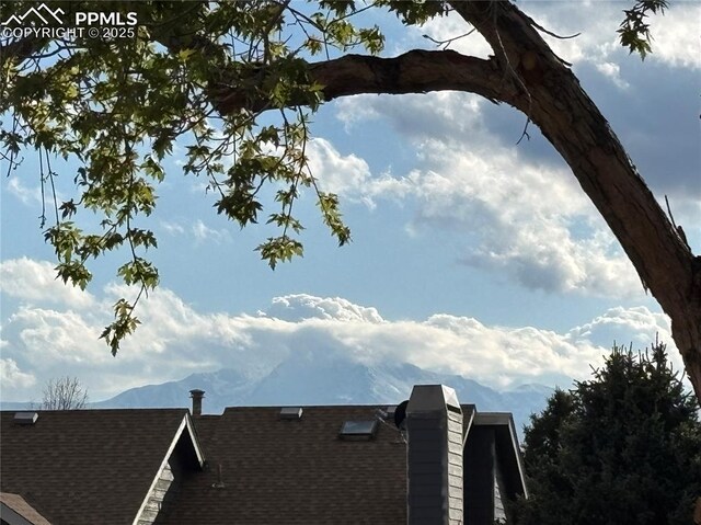 3925 Zurich Dr, Colorado Springs, CO 80920 - exterior view of a shingled roof and a chimney