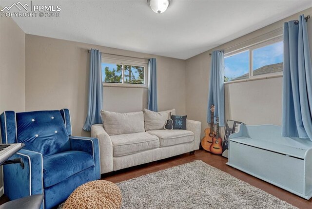 5477 E Asbury Ave, Denver, CO 80222 - living room featuring wood finished floors