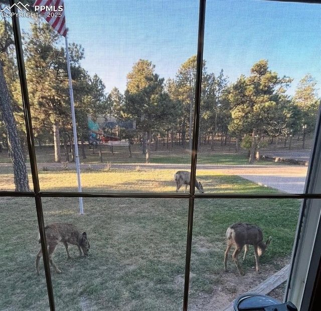 view of community featuring a lawn