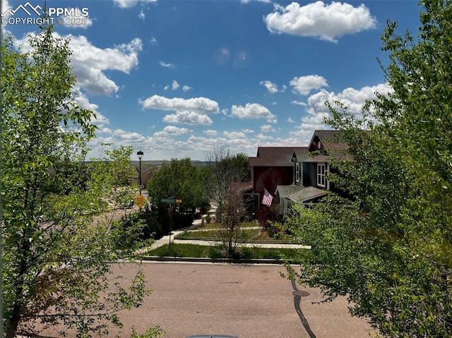 2790 Winterbourne St, Colorado Springs, CO 80910 - view of yard