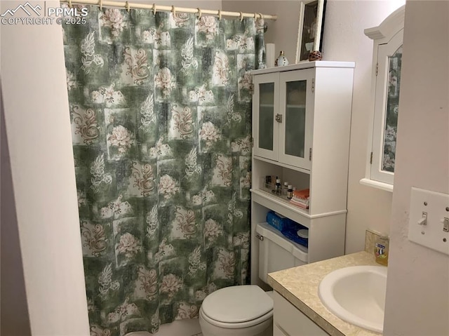 6905 Chippewa Rd, Colorado Springs, CO 80915 - bathroom featuring vanity, toilet, and curtained shower