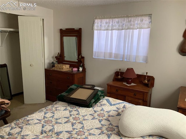6905 Chippewa Rd, Colorado Springs, CO 80915 - carpeted bedroom with a closet and a textured ceiling