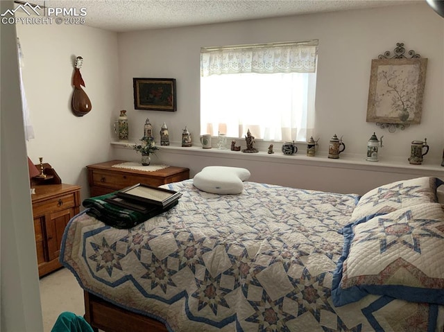6905 Chippewa Rd, Colorado Springs, CO 80915 - bedroom with a textured ceiling