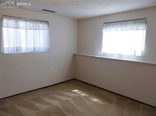6905 Chippewa Rd, Colorado Springs, CO 80915 - carpeted empty room with a textured ceiling
