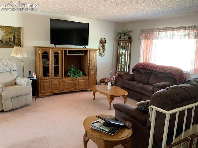6905 Chippewa Rd, Colorado Springs, CO 80915 - living area featuring light carpet and a textured ceiling